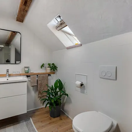 Am Blitzgi Apartment Wehr (Baden-Wurttemberg)