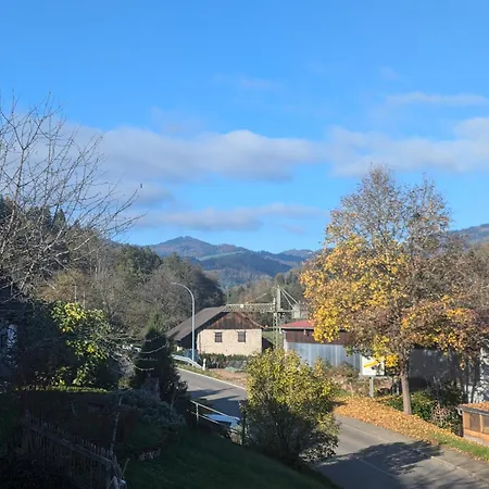 Apartmán Am Blitzgi Wehr (Baden-Wurttemberg)